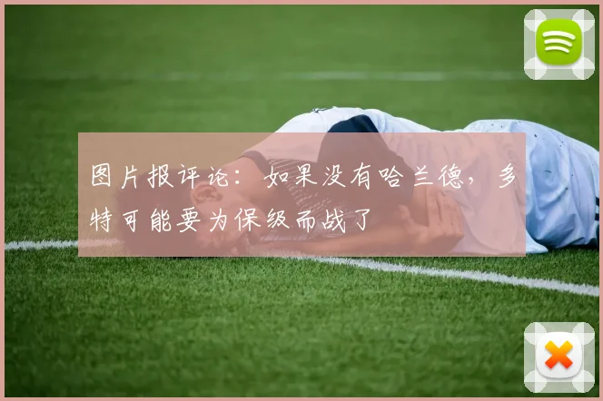 图片报评论：如果没有哈兰德，多特可能要为保级而战了