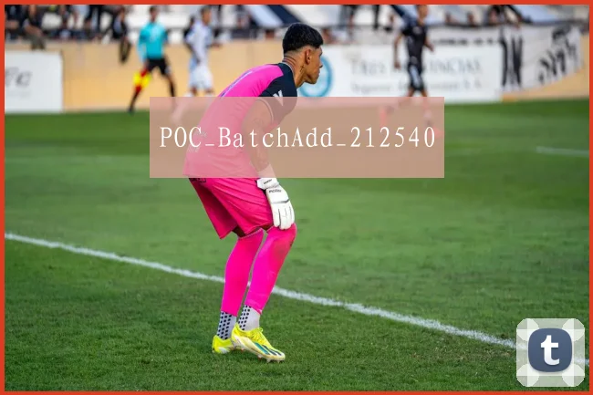 POC_BatchAdd_212540