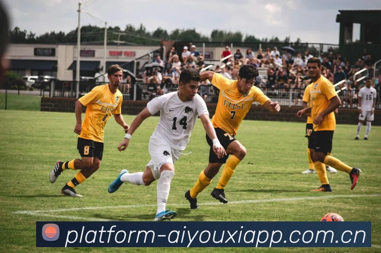 爱游戏官方平台平台生态图