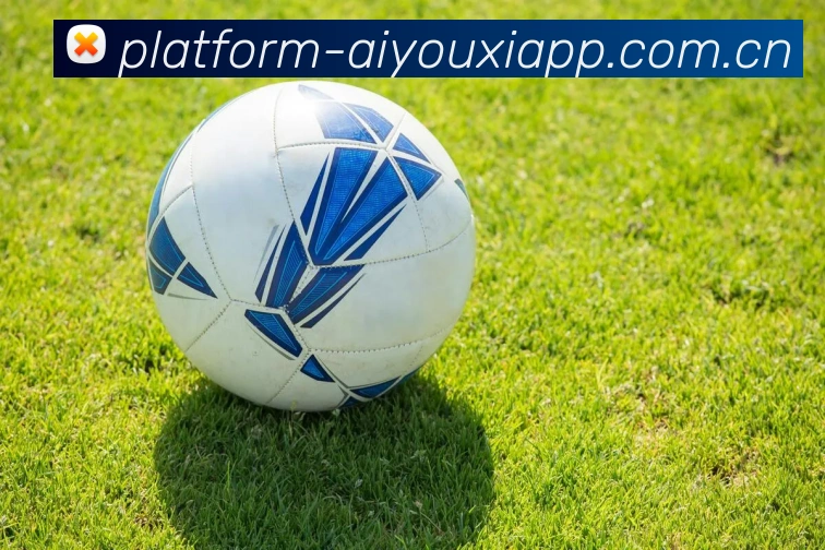 爱游戏官方平台全站App